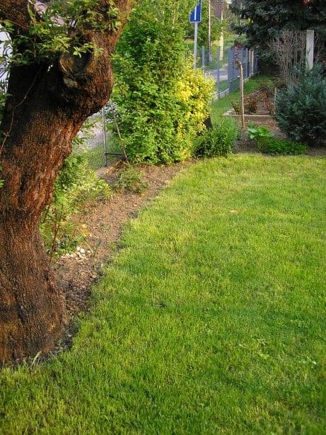 Kertgondozás és karbantartás Balatonalmádiban - 2. kép