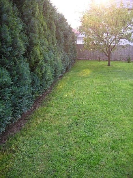 Kertgondozás és karbantartás Balatonalmádiban - 3. kép