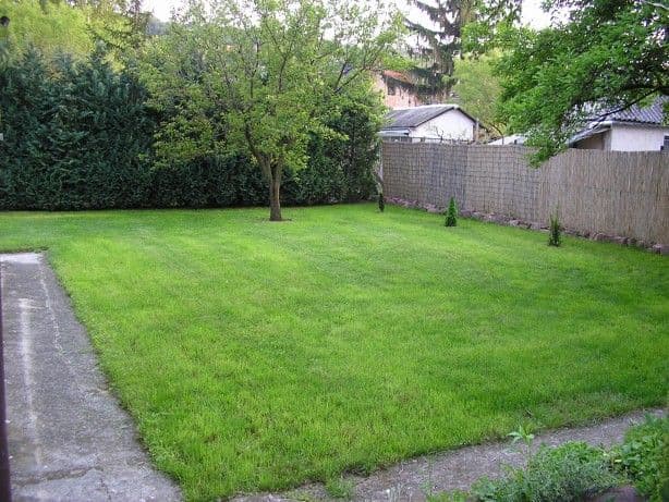 Kertgondozás és karbantartás Balatonalmádiban - 4. kép