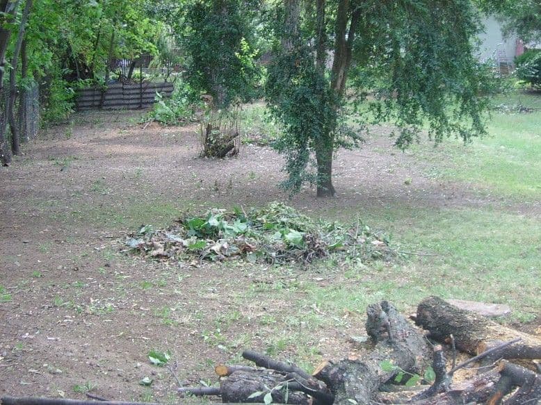 Fakivágás és kertgondozás Balatonalmádiban