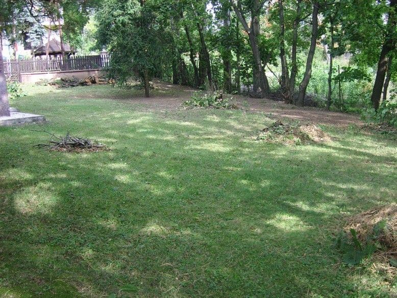 Fakivágás és kertgondozás Balatonalmádiban - 3. kép