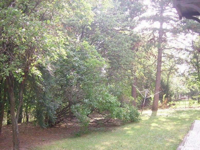 Fakivágás és kertgondozás Balatonalmádiban - 4. kép