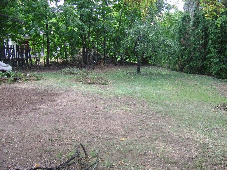 Fakivágás és kertgondozás Balatonalmádiban - 6. kép