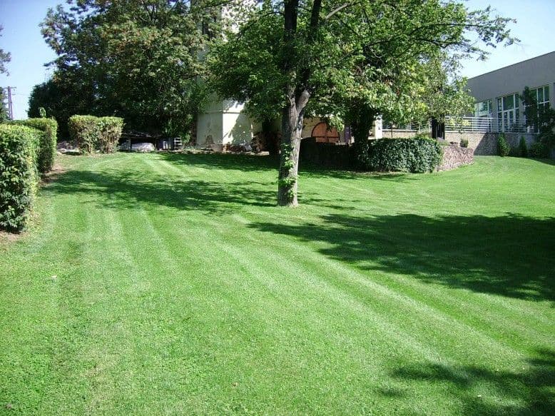 Ramada Hotel parkgondozás - Balatonalmádi - 4. kép