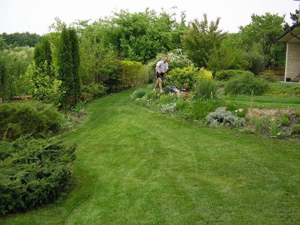 Rendszeres kertgondozás Balatonalmádiban - 3. kép